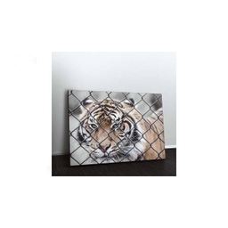 تابلو شاسی ونسونی طرح Tiger In Cage سایز 50x70 سانتی متر