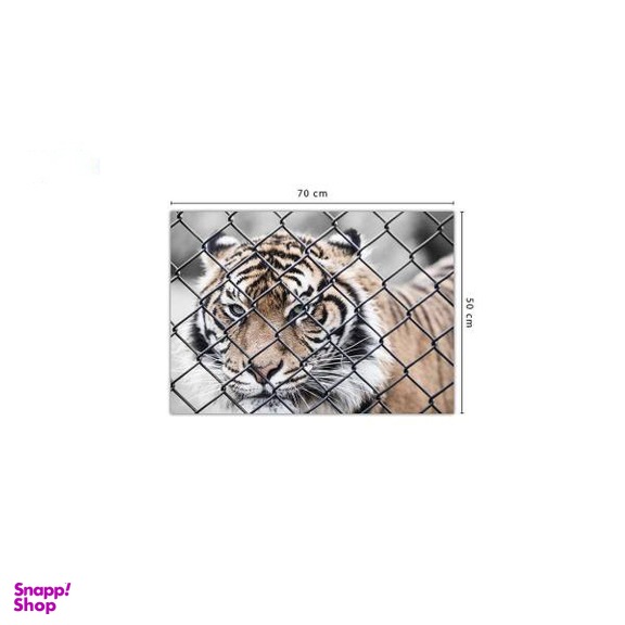 تابلو شاسی ونسونی طرح Tiger In Cage سایز 50x70 سانتی متر
