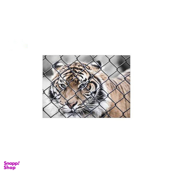 تابلو شاسی ونسونی طرح Tiger In Cage سایز 50x70 سانتی متر