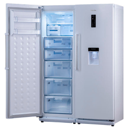 یخچال فریزر دوقلو دیپوینت مدل D5iS