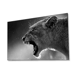تابلوی ونسونی طرح The Lion Rave سایز 50x70