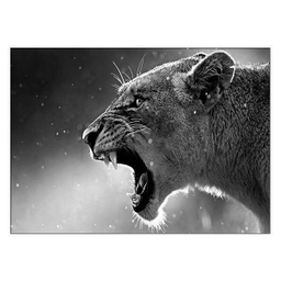 تابلوی ونسونی طرح The Lion Rave سایز 50x70