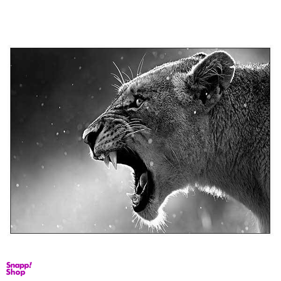 تابلوی ونسونی طرح The Lion Rave سایز 50x70