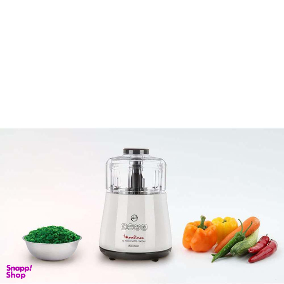 خردکن مولینکس (Moulinex) مدل DPA141
