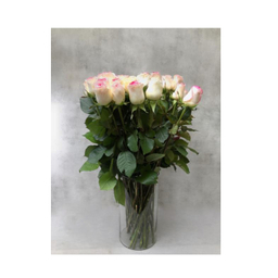 گل رز هلندی رنگ سفید صورتی دسته 20 شاخه‌ ای