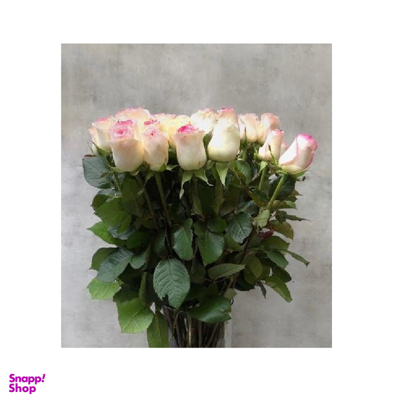 گل رز هلندی رنگ سفید صورتی دسته 20 شاخه‌ ای