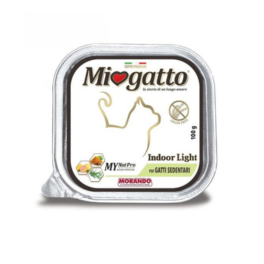 اسکرچر‌ گربه ژوانیت (Juanit) مدل دیدی
