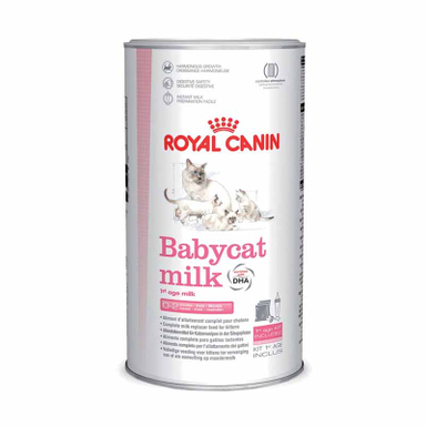 شیر خشک بچه گربه رویال کنین (Royal Canin) وزن 300 گرم