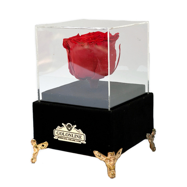 باکس گل جاودان گل آنلاین مدل جیر کد 30