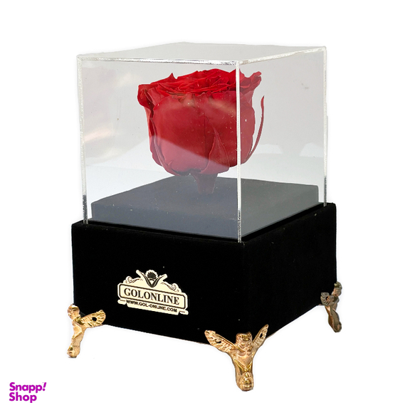 باکس گل جاودان گل آنلاین مدل جیر کد 30