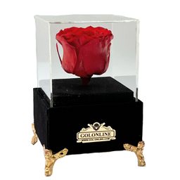 باکس گل جاودان گل آنلاین مدل جیر کد 30