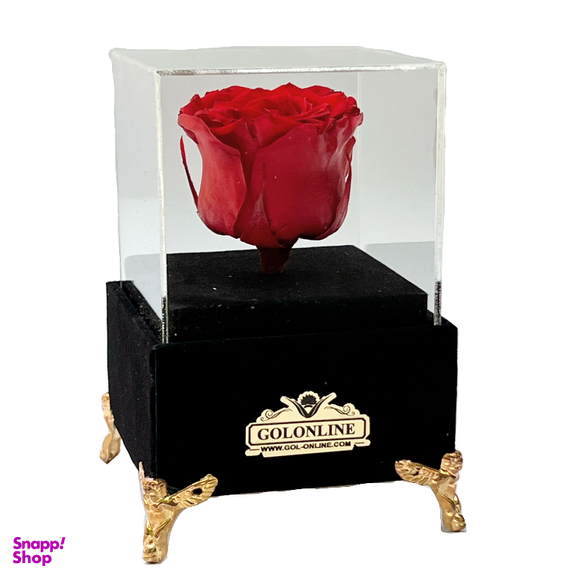 باکس گل جاودان گل آنلاین مدل جیر کد 30