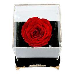 باکس گل جاودان گل آنلاین مدل جیر کد 30