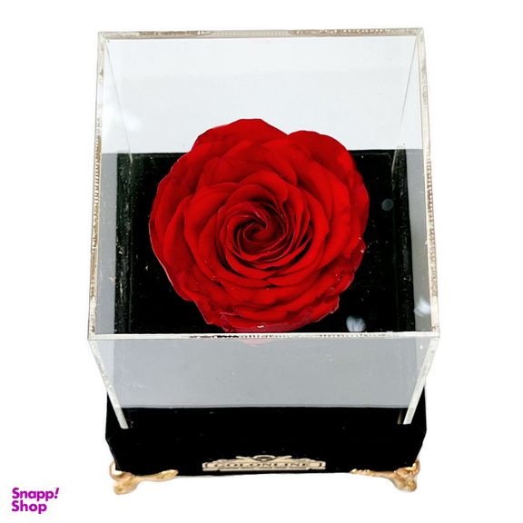 باکس گل جاودان گل آنلاین مدل جیر کد 30