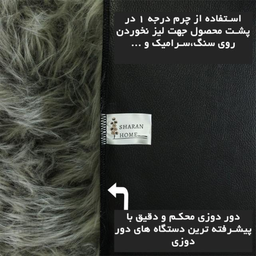 پادری شاران هوم (Sharan Home) طرح‌ خز فانتزی