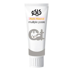 خمیر مینرال و مولتی ویتامین گربه کاکو (Kaku) مدل Multi Paste وزن 100 گرم