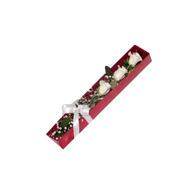 جعبه گل آنیسا ایگل (Egol) کد B103