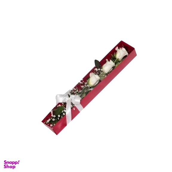 جعبه گل آنیسا ایگل (Egol) کد B103