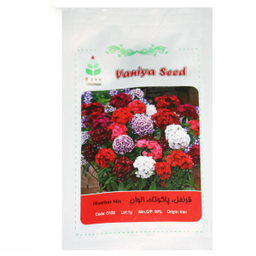 بذر گل قرنفل پاکوتاه الوان آذر سبزینه (Azar Sabzineh) مدل A127