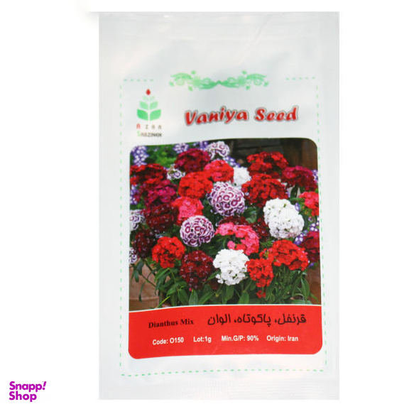 بذر گل قرنفل پاکوتاه الوان آذر سبزینه (Azar Sabzineh) مدل A127