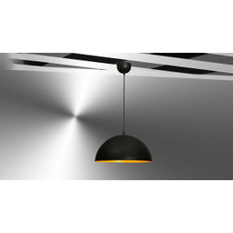 لوستر رایکا (Raika) مدل Ros736