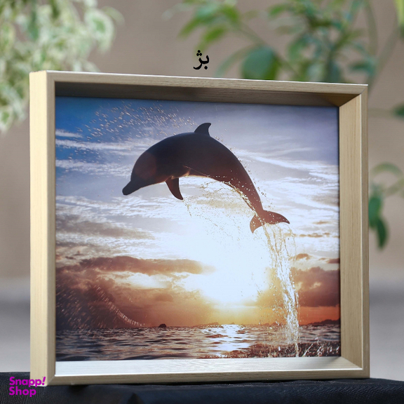 قاب عکس بکلیت مدل دیواری 15x20-208