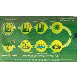 سفره یکبار مصرف کوالا (Koala) مدل 62615918010161 رول 10 متری