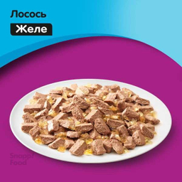 غذای پوچ گربه ویسکاس (Whiskas) مدل ماهی قزل آلا وزن 75 گرم