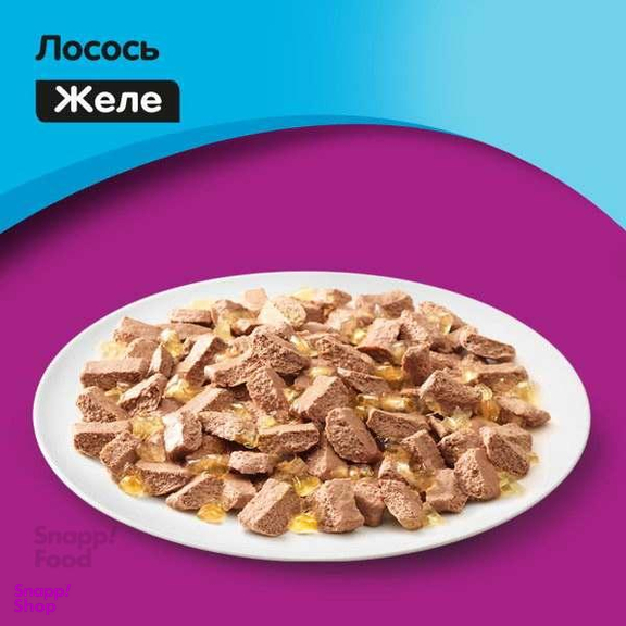 غذای پوچ گربه ویسکاس (Whiskas) مدل ماهی قزل آلا وزن 75 گرم