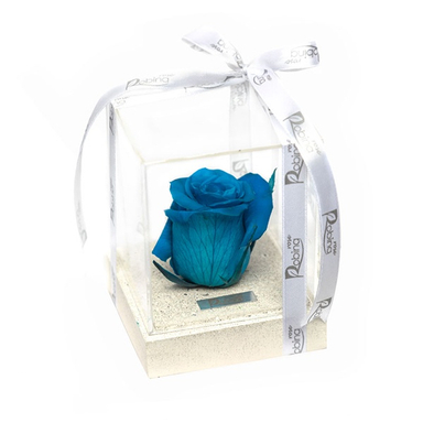 جعبه رز جاودان روبینا رز (Robina Rose) مدل تک گل پایه سنگی