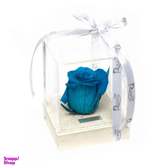 جعبه رز جاودان روبینا رز (Robina Rose) مدل تک گل پایه سنگی