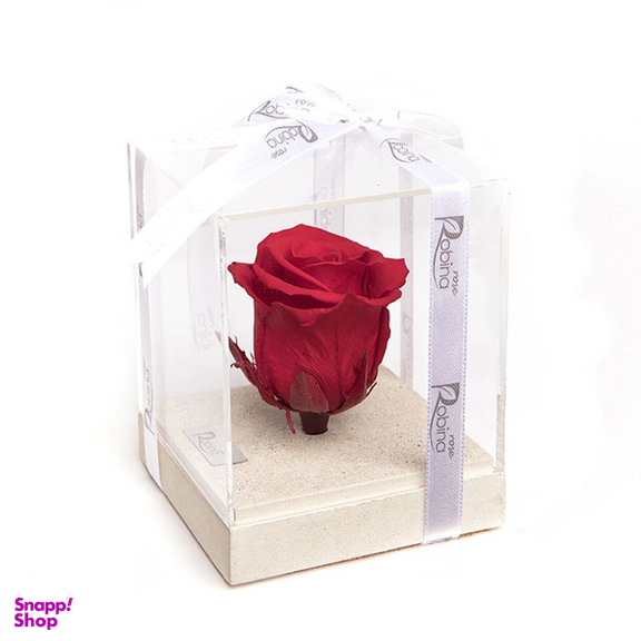جعبه رز جاودان روبینا رز (Robina Rose) مدل تک گل پایه سنگی