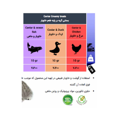 بستنی گربه دنتالایت مدل Chicken وزن 50 گرم بسته 5 عددی