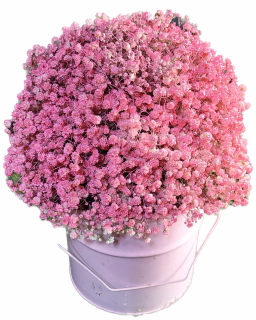 باکس فلزی گل عروس گل-آنلاین مدل دسته دار