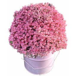 باکس گل طبیعی گل آنلاین مدل گل عروس