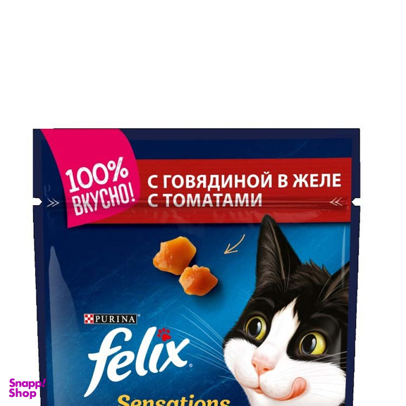 پوچ گربه فلیکس با طعم گوشت و گوجه مدل Beef & Tomato وزن 85 گرم