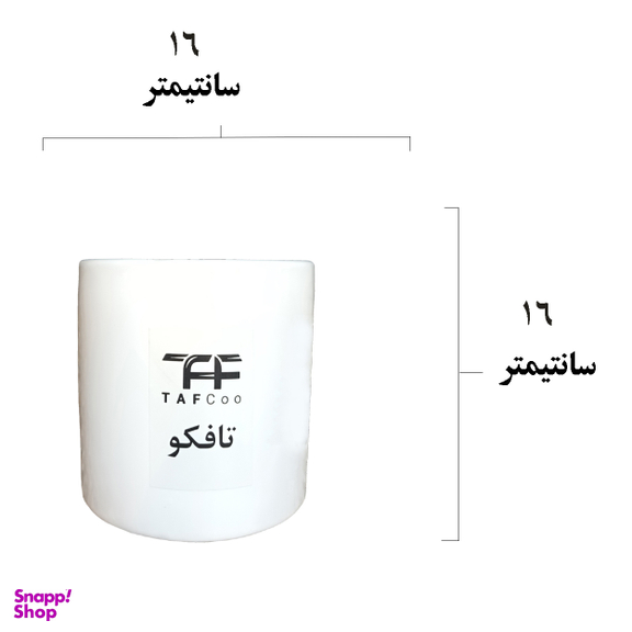 گل طبیعی شفلرا ابلغ تافکو کد 2026