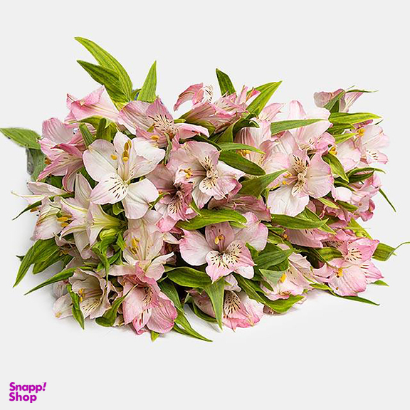 دسته گل طبیعی آلسترومریا رنگ صورتی