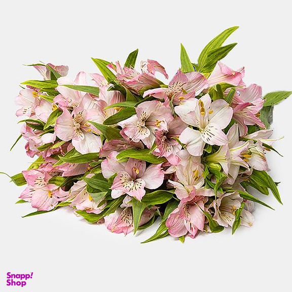 دسته گل طبیعی آلسترومریا رنگ صورتی