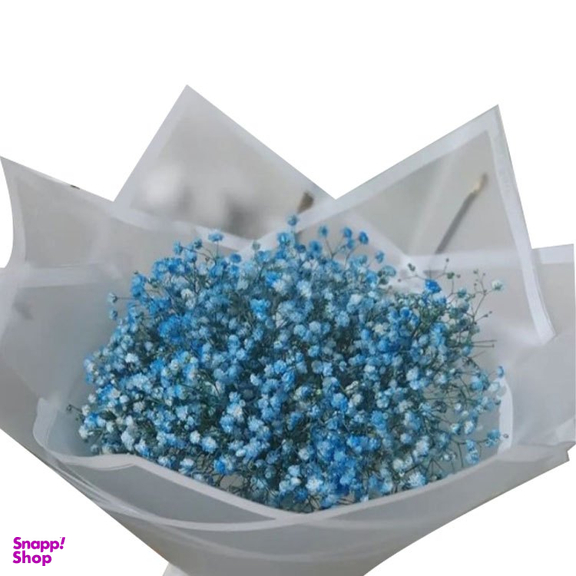 دسته گل طبیعی چیپس ژفیلیا