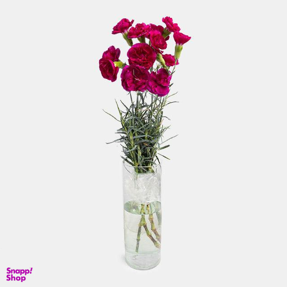 دسته گل طبیعی میخک رنگ بنفش