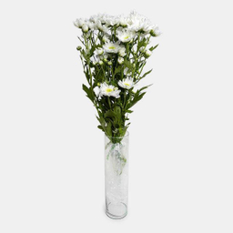 دسته گل داوودی رنگ سفید
