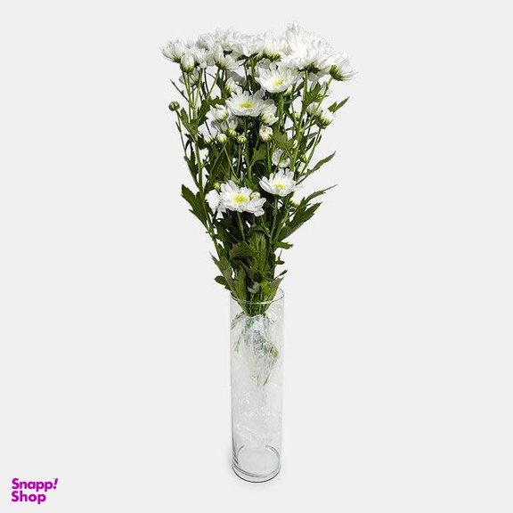 دسته گل داوودی رنگ سفید