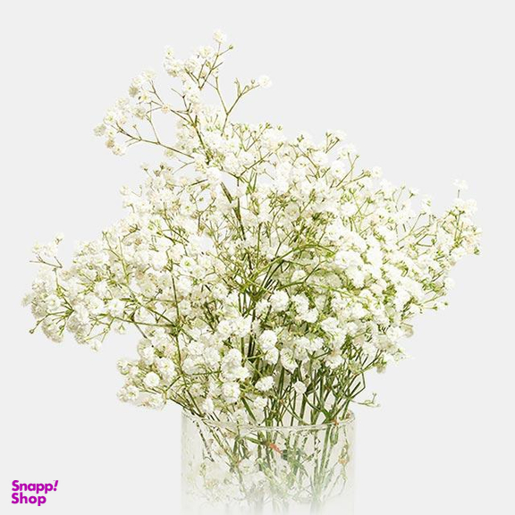 دسته گل طبیعی ژیپسوفیلا رنگ سفید