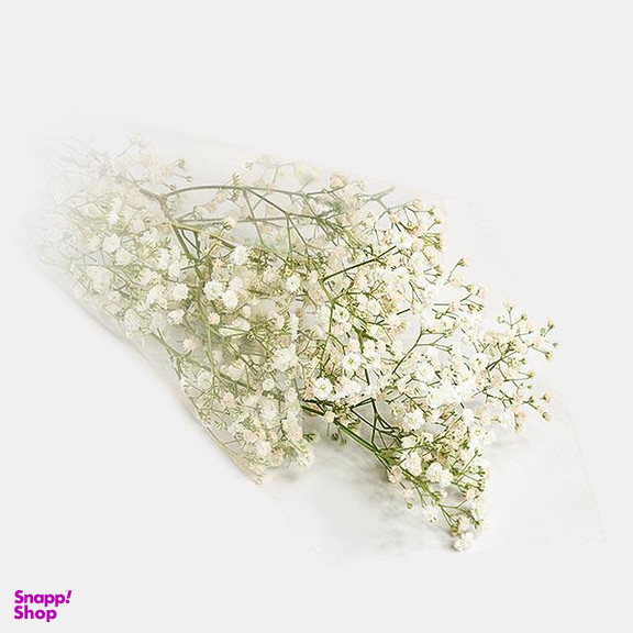 دسته گل طبیعی ژیپسوفیلا رنگ سفید