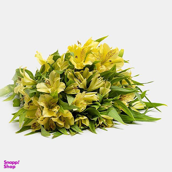 دسته گل طبیعی آلسترومریا رنگ کرم