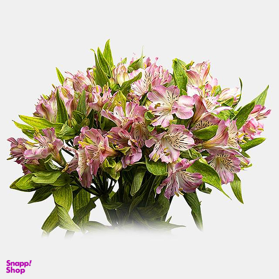 دسته گل طبیعی آلسترومریا رنگ صورتی