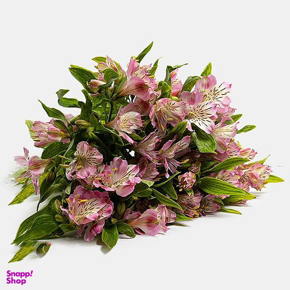دسته گل طبیعی آلسترومریا رنگ صورتی