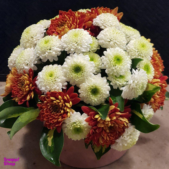 باکس گل طبیعی مدل 10