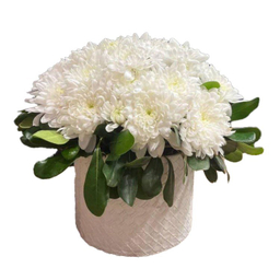 باکس گل طبیعی مدل 47